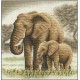 Золотая серия Ж-0564   Набор для вышивания "Слоны"